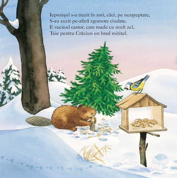 Asteptand Craciunul, Sabine Cuno [3]