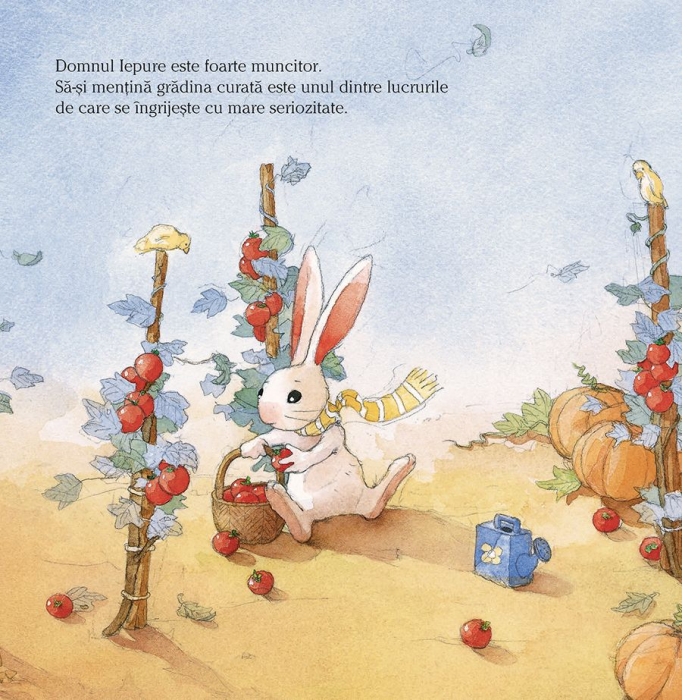 Domnul iepure si toboganul rosu, Quentin Gréban, 3 ani+ [3]