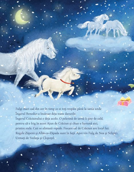 Poneiul nazdravan si dorinta secreta de Craciun, Julia Gerigk, Michaela Holzinger [4]