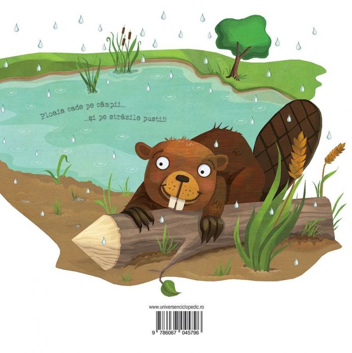 Minunile primaverii. Picaturile de ploaie, Charles Ghigna [5]