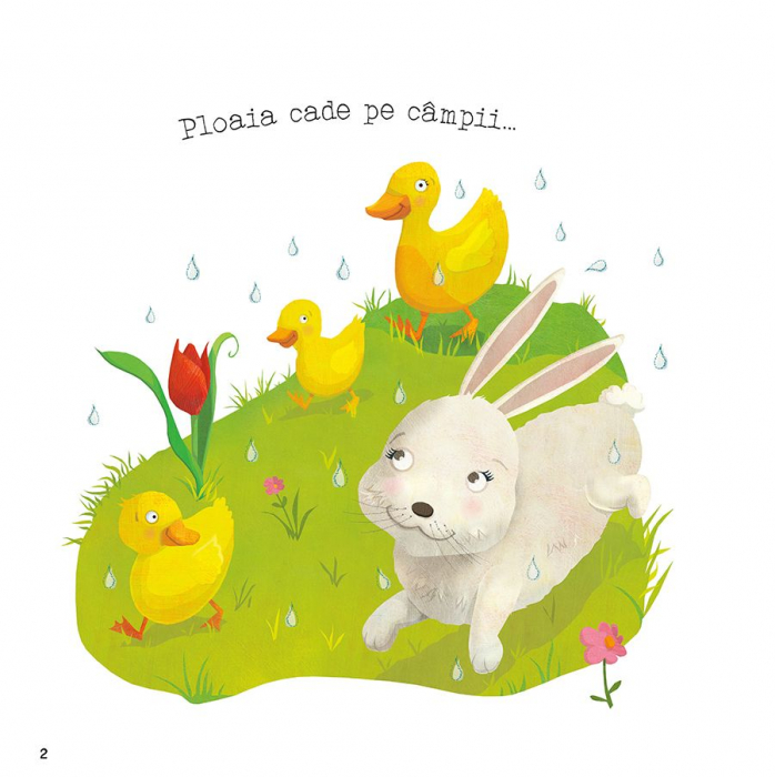 Minunile primaverii. Picaturile de ploaie, Charles Ghigna [2]