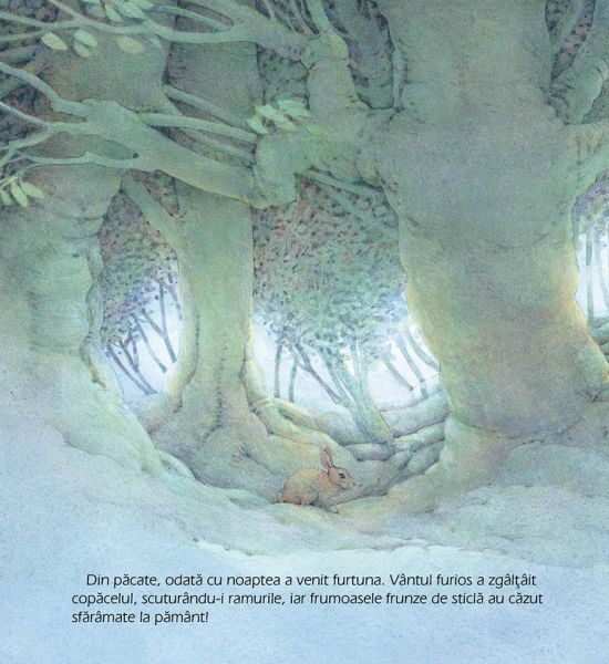 Bradutul de Craciun, Loek Koopmans [4]