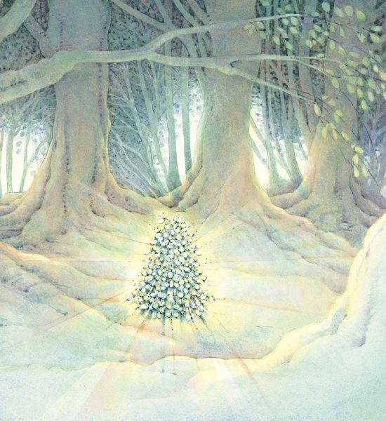 Bradutul de Craciun, Loek Koopmans [3]