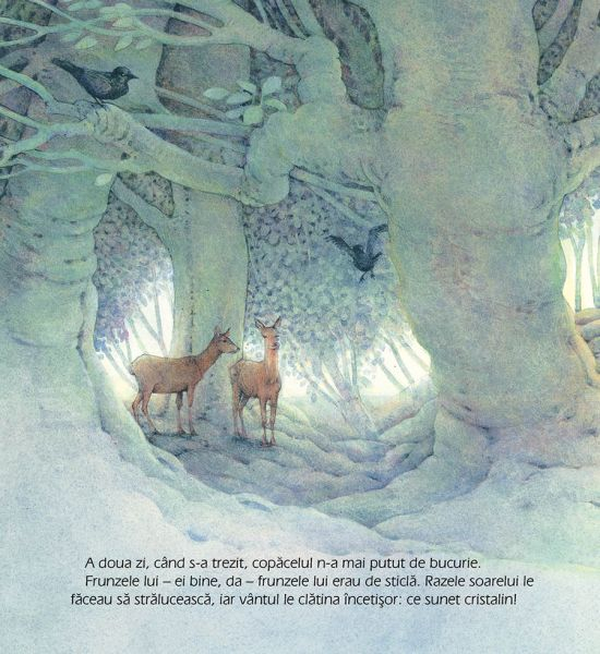 Bradutul de Craciun, Loek Koopmans [2]