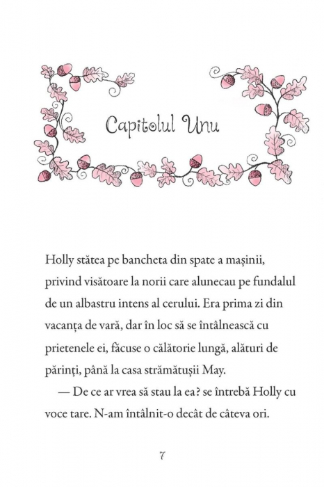 Poneii fermecati. Evadare nocturna, Usborne Books, 6 ani+ [3]