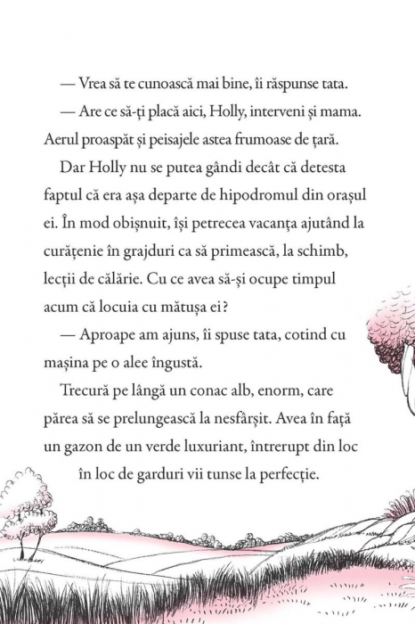 Poneii fermecati. Evadare nocturna, Usborne Books, 6 ani+ [4]