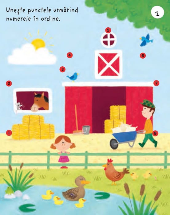 Prima mea carte de activitati la ferma, Usborne Books, 3 ani+ [3]