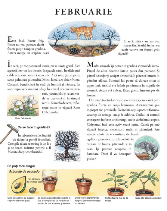 Un an in gradina mea, Susanne Riha, 3 ani+ [2]