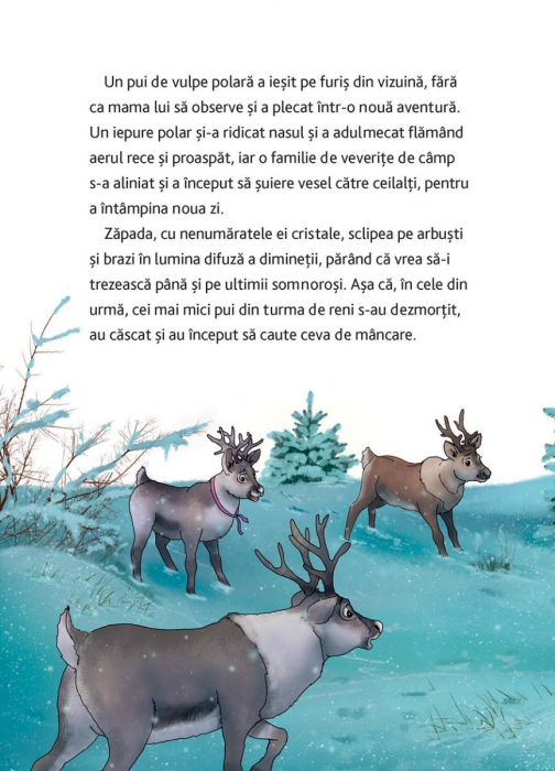 Clopotel, poneiul de Craciun. Miracolul de la Polul Nord, Annette Moser [4]