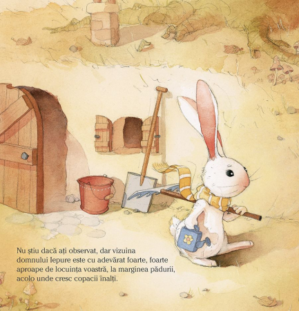 Domnul iepure si toboganul rosu, Quentin Gréban, 3 ani+ [0]