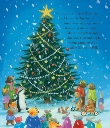 Cadoul perfect, Caroline Pedler, Stella J. Jones [2]