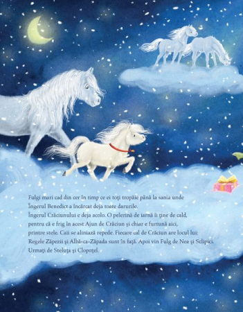 Poneiul nazdravan si dorinta secreta de Craciun, Julia Gerigk, Michaela Holzinger [3]