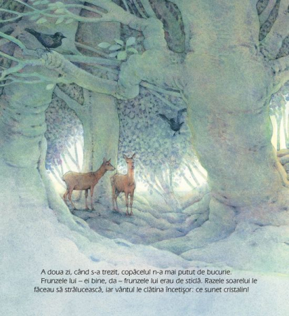 Bradutul de Craciun, Loek Koopmans [1]