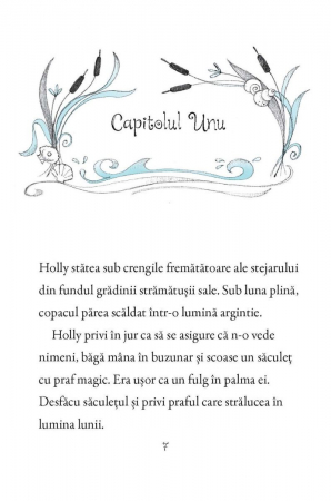 Poneii fermecati. Colierul magic, Usborne Books, 6 ani+ [2]