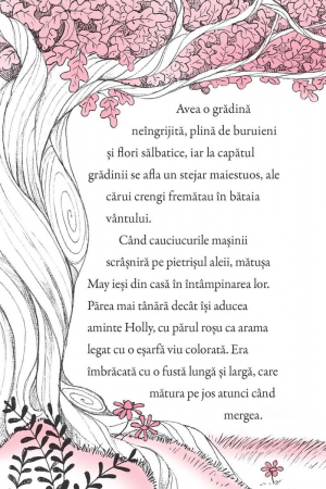 Poneii fermecati. Evadare nocturna, Usborne Books, 6 ani+ [5]