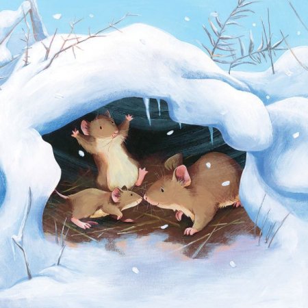 Ingerul zapezii, Jane Chapman, Christine Leeson [1]