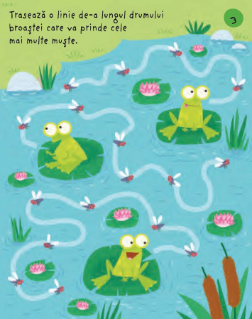 Prima mea carte de activitati la ferma, Usborne Books, 3 ani+ [3]