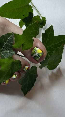 Pedi Expres - 2 zile [2]