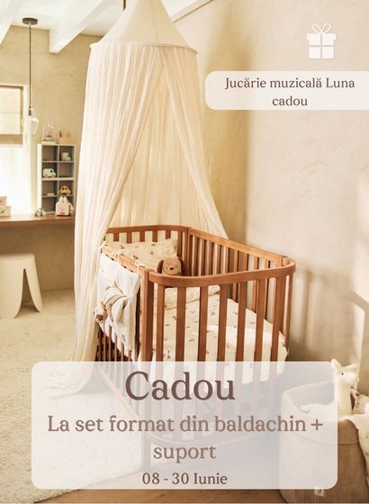 Jucarie muzicala cadou