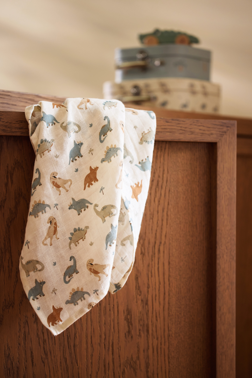 Set cadou bebeluși Dinozauri Roarsome Jollein [11]