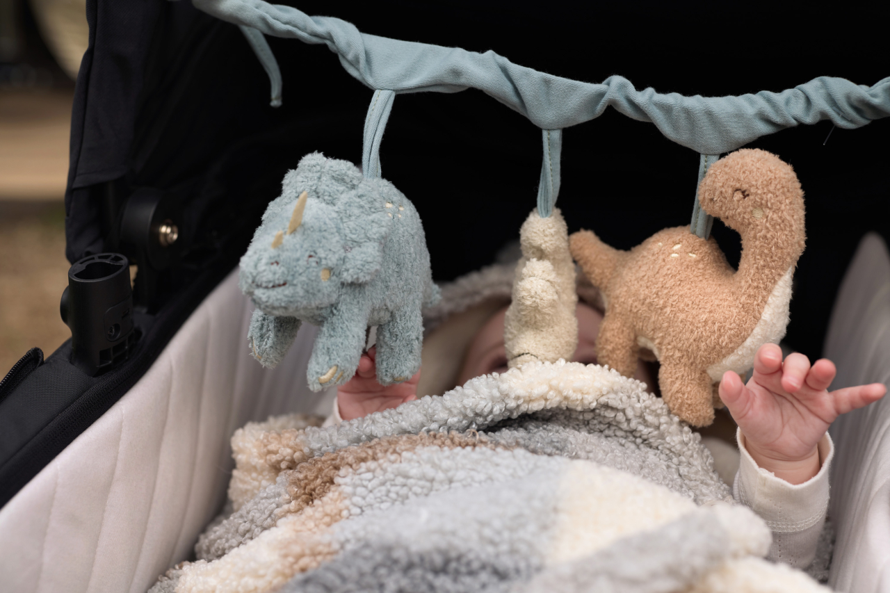 Set cadou bebeluși Dinozauri Roarsome Jollein [3]