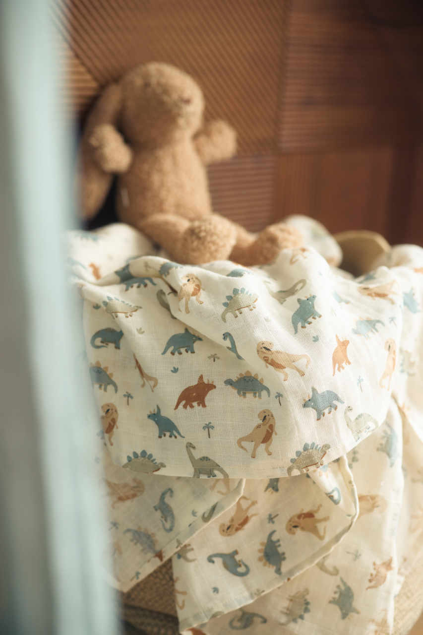 Set cadou bebeluși Dinozauri Roarsome Jollein [9]