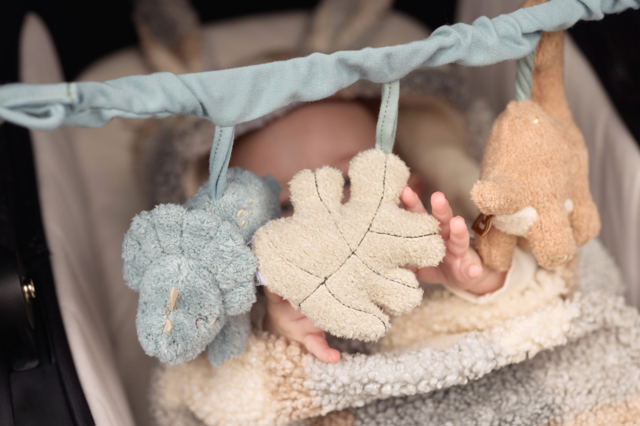 Set cadou bebeluși Dinozauri Roarsome Jollein [4]