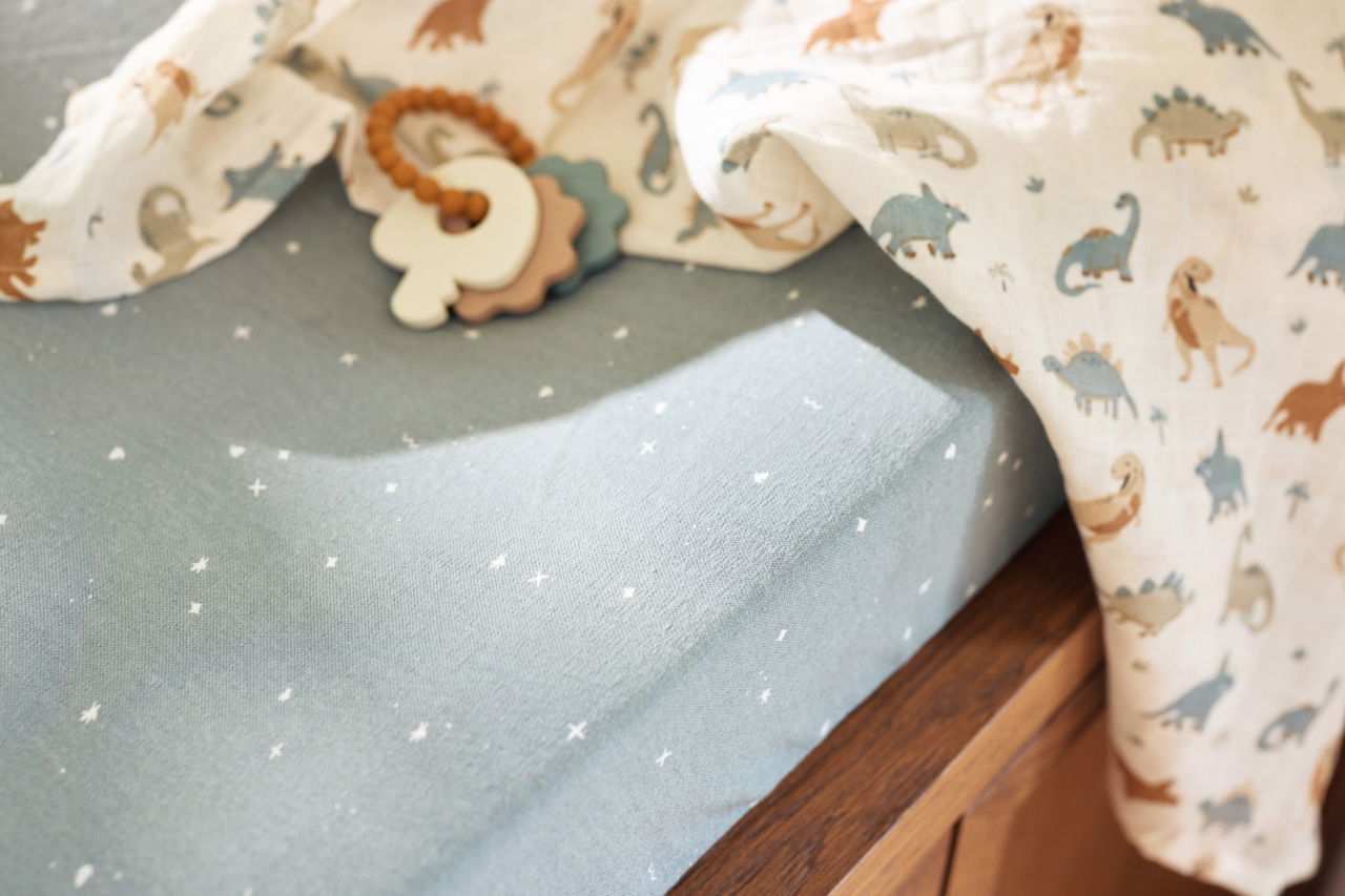 Set cadou bebeluși Dinozauri Roarsome Jollein [8]