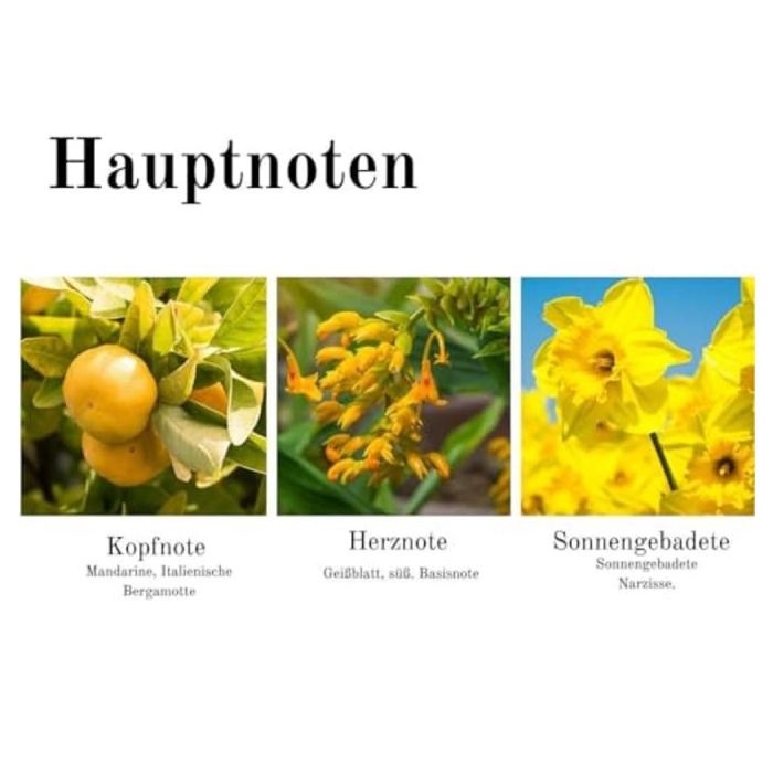 Apă de toaletă Elizabeth Arden Sunflowers Sunlight Kiss, femei, 100 ml [4]