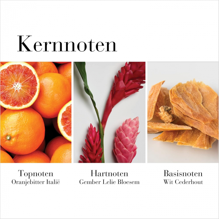 Apă de toaletă Elizabeth Arden White Tea Ginger Lily, femei, 100 ml [4]