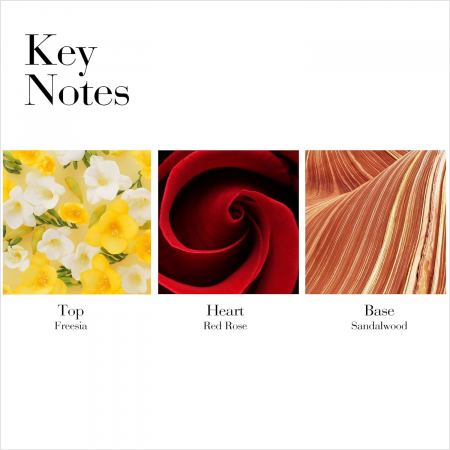 Apă de toaletă Elizabeth Arden Red Door, femei, 100 ml [3]