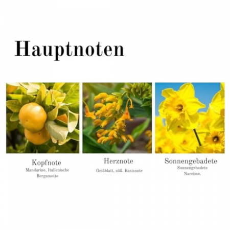 Apă de toaletă Elizabeth Arden Sunflowers Sunlight Kiss, femei, 100 ml [3]