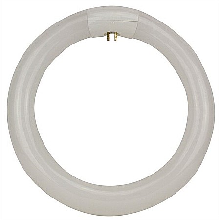 Lampi si lanterne - Tub neon 22W / 220V diametru 210mm pentru lampa cu lupa Circline