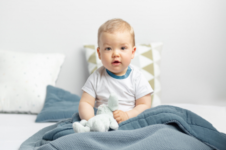 Set paturica + perna, muselina & bumbac (albastru) [6]