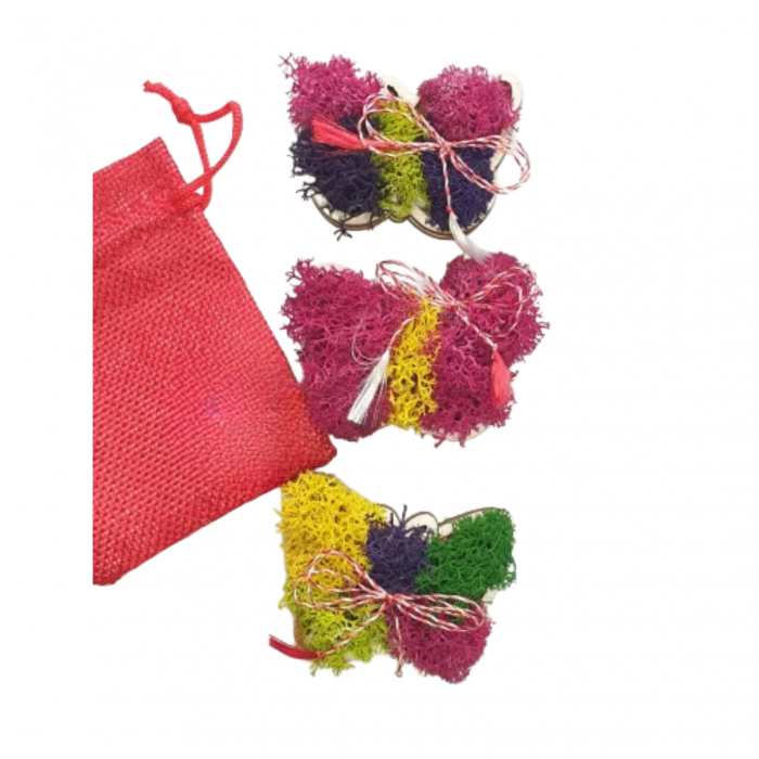 Martisor cu licheni - fluturas [2]