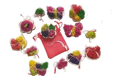 Martisor cu licheni - pomisori [1]