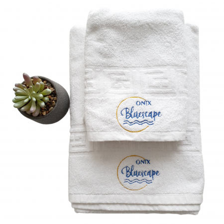 Personalizari pentru afaceri - Prosoape personalizate cu logo pentru HORECA