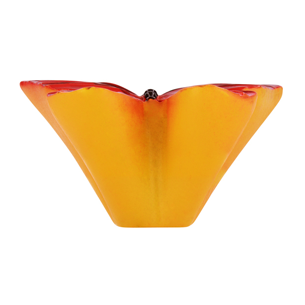 Buton fluture [4]