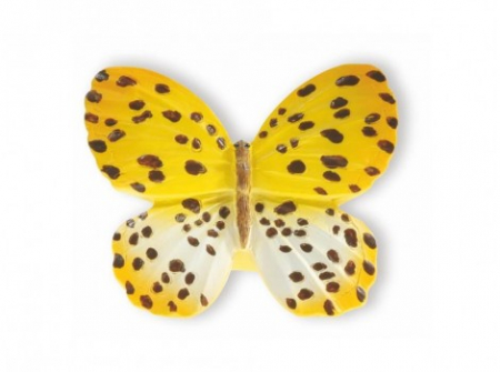 Butoni mobila - Buton fluture