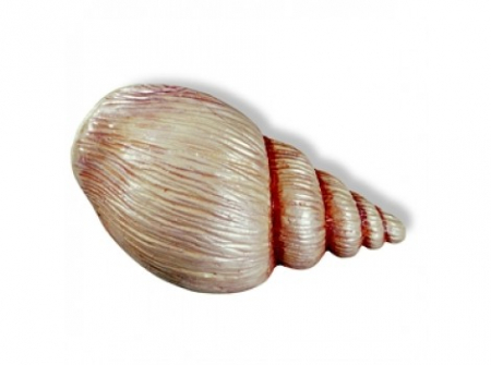 Butoni mobila - Buton melc