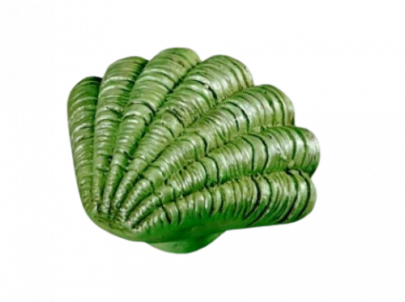Butoni mobila - Buton scoica