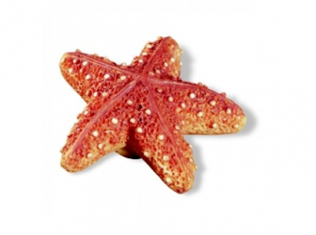 Butoni mobila - Buton stea de mare