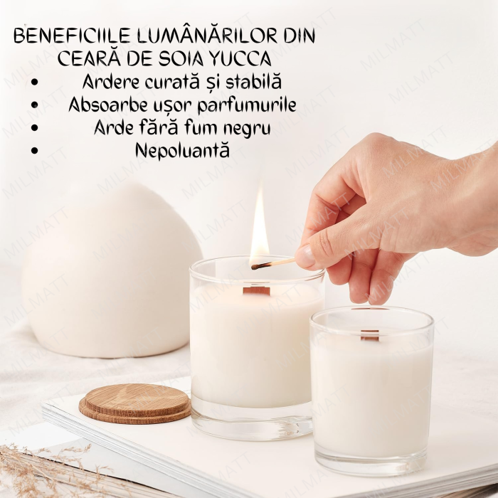 Ceara naturală de soia și parafină pentru Recipiente, Yucca ENW231L [5]