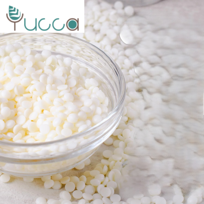 Ceara naturală de soia și cocos pentru Recipiente, Yucca ENW234P [3]