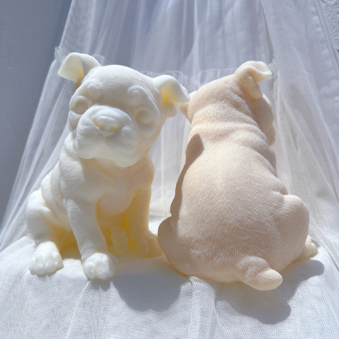 Matrita Caine Boston Terrier [7]