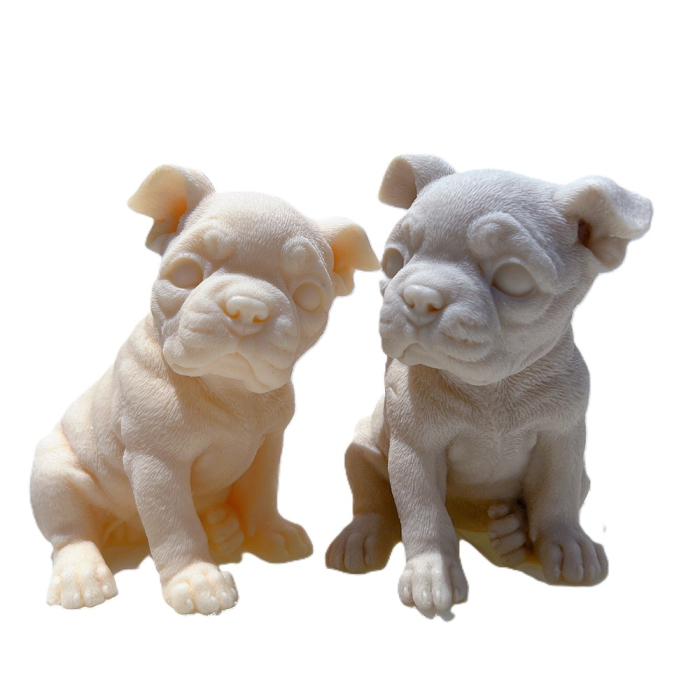 Matrita Caine Boston Terrier [5]