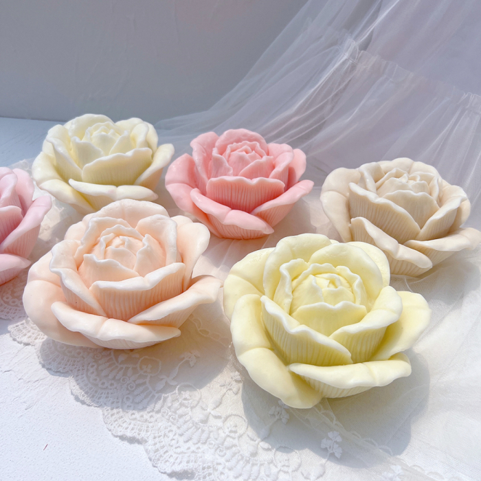 trandafir gigant [4]