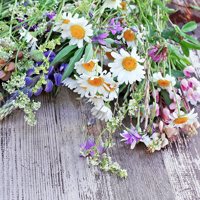 Parfum  Lumanari Flower Bouquet [1]