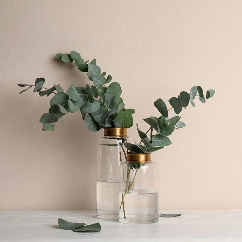 Parfum  Lumanari Eucalyptus [1]