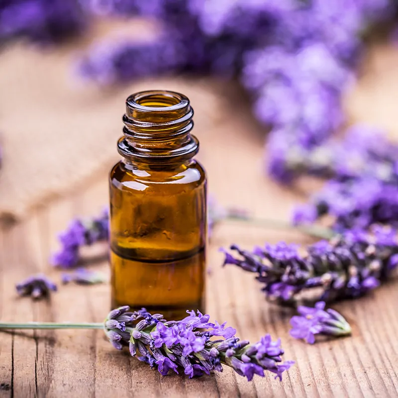 Parfum  Lumanari Lavander [1]